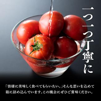 【訳あり】宮崎県産トマト　川南町産トマト1kg 【 宮崎県産 九州産 川南町産 トマト とまと 野菜 ヘルシー 訳あり わけあり 】 [C06602]