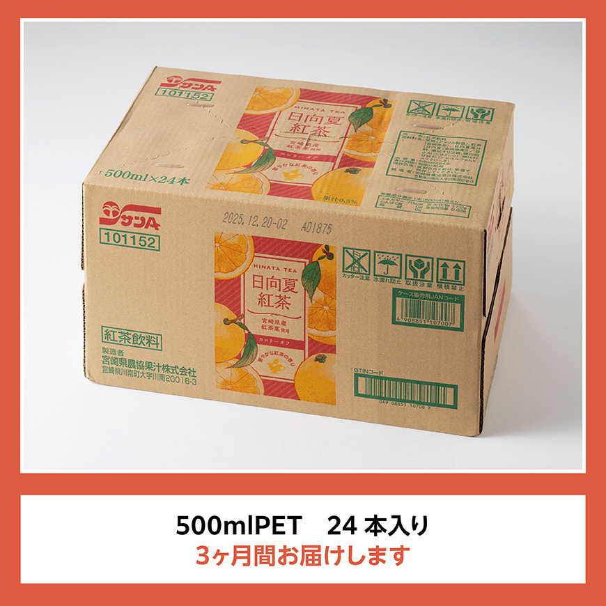 【3ヶ月定期便】 サンA 日向夏 紅茶 HINATA TEA 500mlＰＥＴ 24本 入り 【飲料 日向夏 紅茶 PET ジュース 長期保存 送料無料】 [C03013t3]