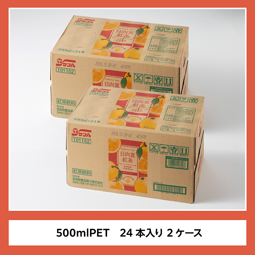 サンA 日向夏 紅茶 HINATA TEA 500mlＰＥＴ 24本 入り×2ケース 【飲料 日向夏 紅茶 PET セット ジュース 長期保存 送料無料】 [C03014]