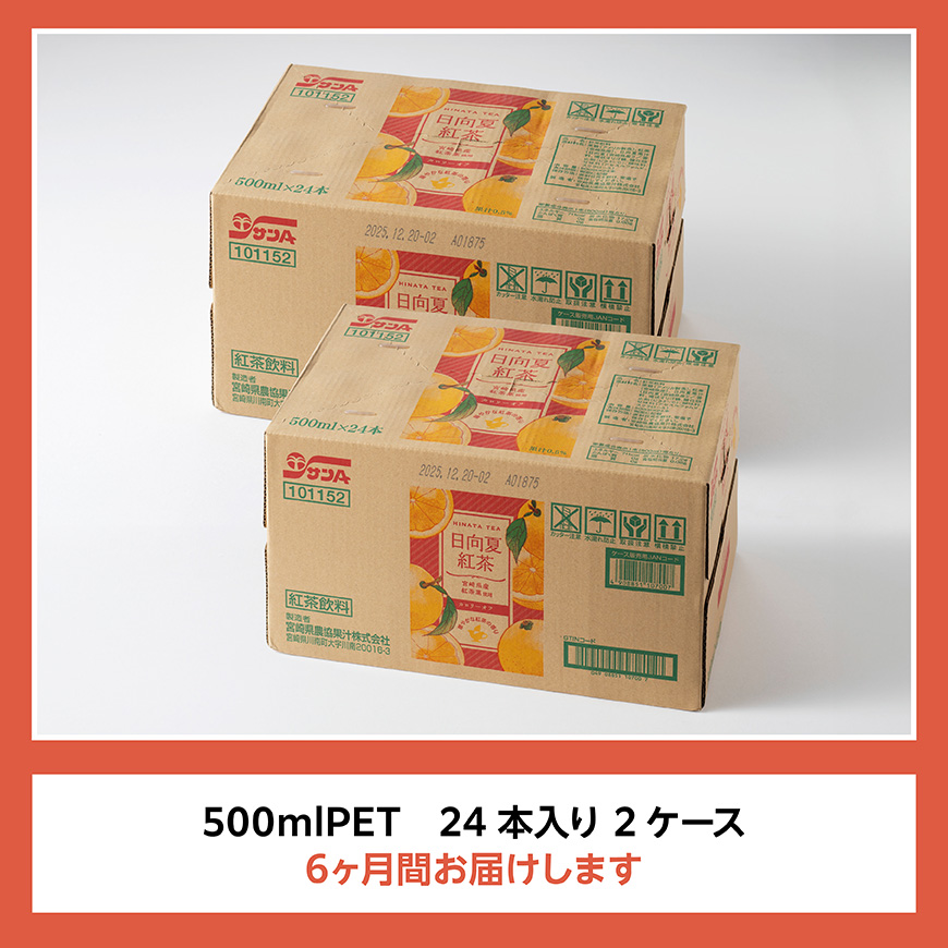 【6ヶ月定期便】サンA 日向夏 紅茶 HINATA TEA 500mlＰＥＴ 24本 入り×2ケース 【飲料 日向夏 紅茶 PET セット ジュース 長期保存 送料無料】 [C03014t6]