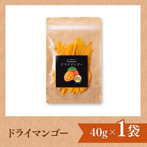 宮崎県産完熟マンゴー（果実の宝石）　ドライマンゴー1袋 【 宮崎県産 川南町 マンゴー ドライマンゴー 】[C03710] 40g×1袋