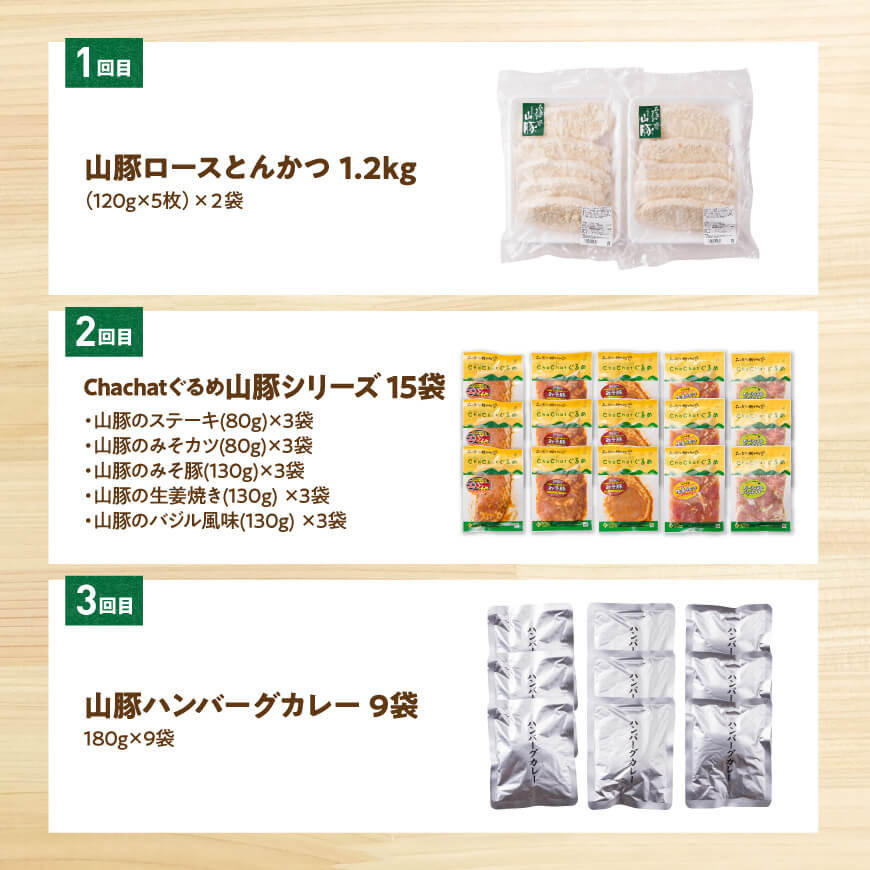 【3ヶ月定期便】月替わりおかずセット【 肉 豚 豚肉 ロース ハンバーグ カレー  】[D07503t3]