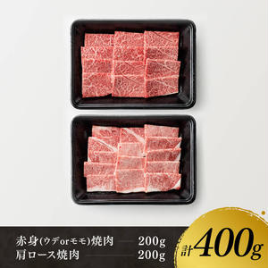 【令和8年2月発送】宮崎牛赤身(ウデorモモ)霜降り焼肉2種400g 【 肉 牛肉 国産 宮崎県産 黒毛和牛 和牛 焼肉 やきにく BBQ 4等級 A4ランク うで モモ 肩ロース ロース 】 [D11123r802] 【令和8年2月発送】