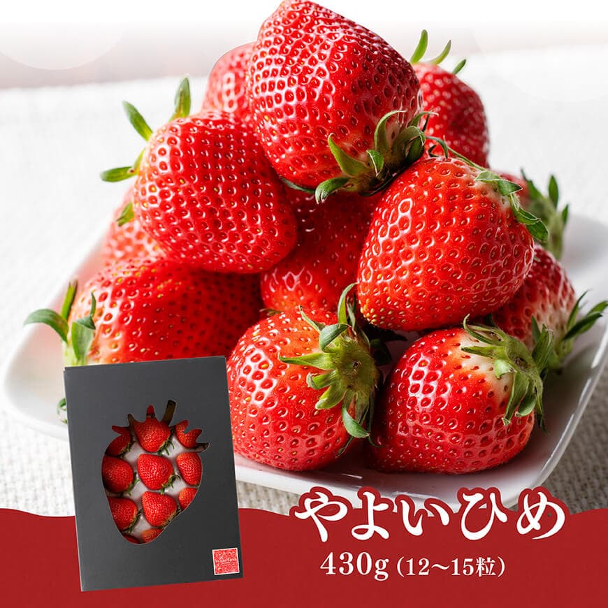 川南町産いちご「やよいひめ」430ｇ 【 期間限定 果物 イチゴ 苺 やよいひめ フルーツ 】[C11201]
