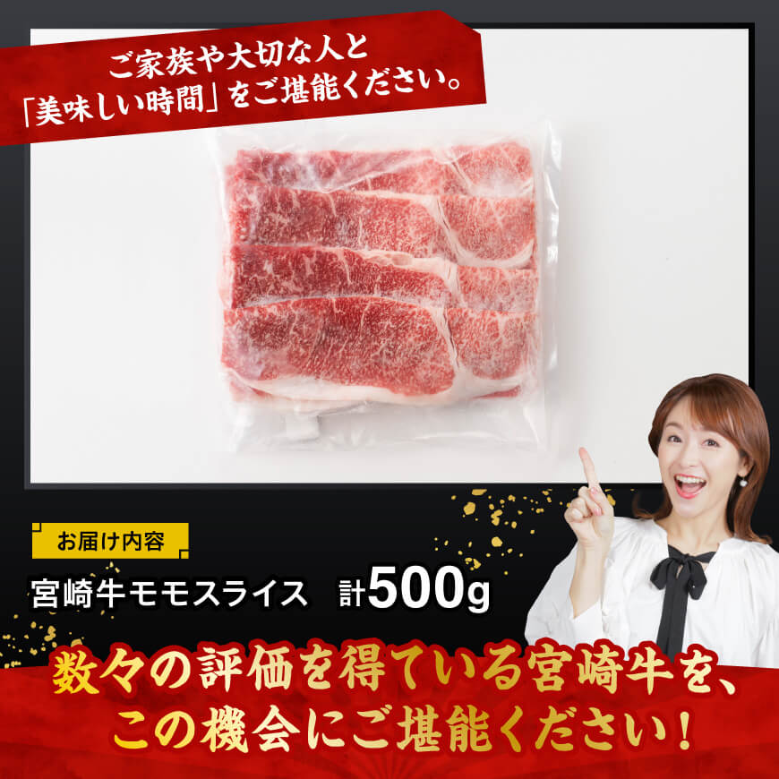 宮崎牛赤身スライス500ｇ 【 肉 牛肉 すき焼き しゃぶしゃぶ 】 [C11403] 【500g】