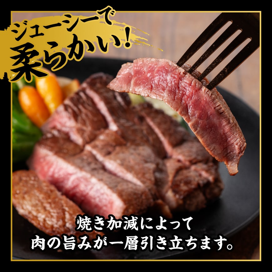 宮崎牛 ヒレステーキ 300g 【 肉 牛肉 国産 宮崎県産 黒毛和牛 ヒレステーキ 】[D11422]