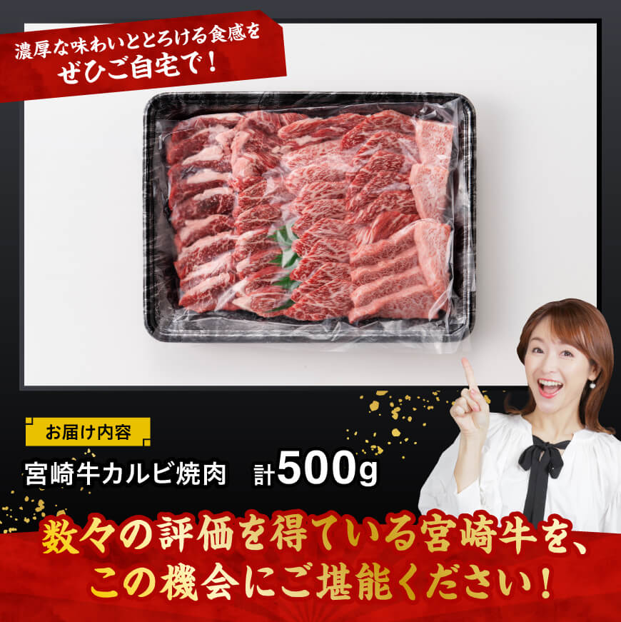 宮崎牛 カルビ焼肉 500g 【 肉 牛肉 国産 宮崎県産 黒毛和牛 カルビ 焼肉 】[C11410]