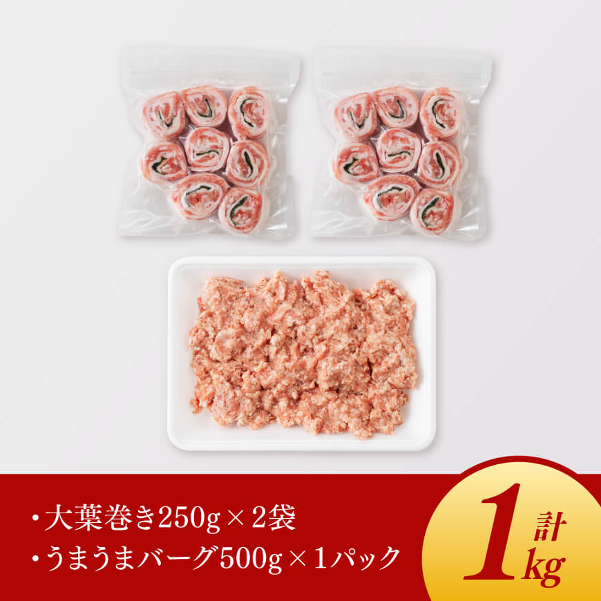 【豚肉】「まるみ豚」宮崎県産豚肉時短セット 【肉 豚肉 ハンバーグ 総菜】 [D11504]