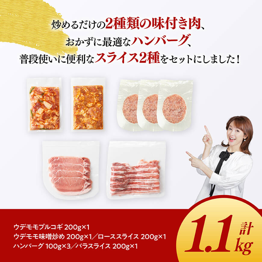 【豚肉】「まるみ豚」宮崎県産豚肉人気セット計1.1kg 【肉 豚肉 ハンバーグ すき焼き しゃぶしゃぶ 総菜】 [D11512]