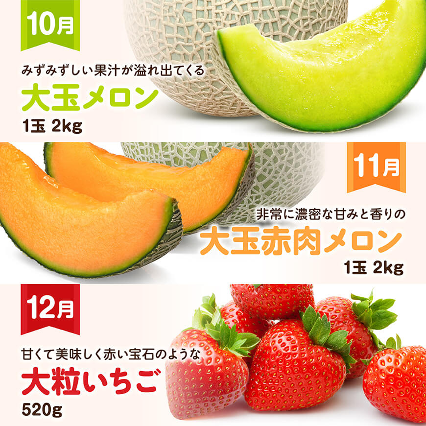 【12ヶ月定期便】超プレミアムデラックス定期便　川南町産フルーツくだものフルーツきんかんくだものフルーツいちご果物フルーツ完熟マンゴー果物フルーツぶどうフルーツピオーネフルーツシャインフルーツマスカットフルーツ大玉メロン[D11718t12]