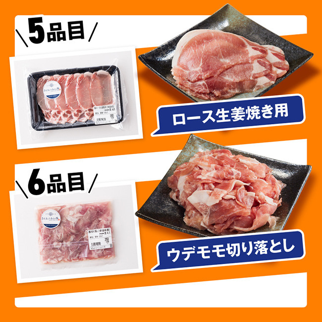 【令和8年3月発送】【いろんな料理にアレンジできちゃう満喫コース】（精肉）みらい豚満喫セット　肉豚豚肉国産豚肉九州産豚肉宮崎県産豚肉バラ肩ロースウデモモ焼肉[E0102br803] 令和8年3月発送分