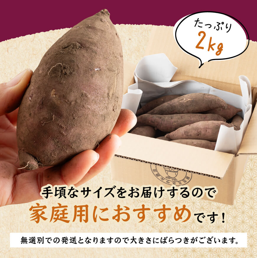 宮崎県産さつまいも　ミネラル栽培　紅はるか 2kg 【 宮崎県産 九州産 いも 芋 サツマイモ 野菜 】[C10401]