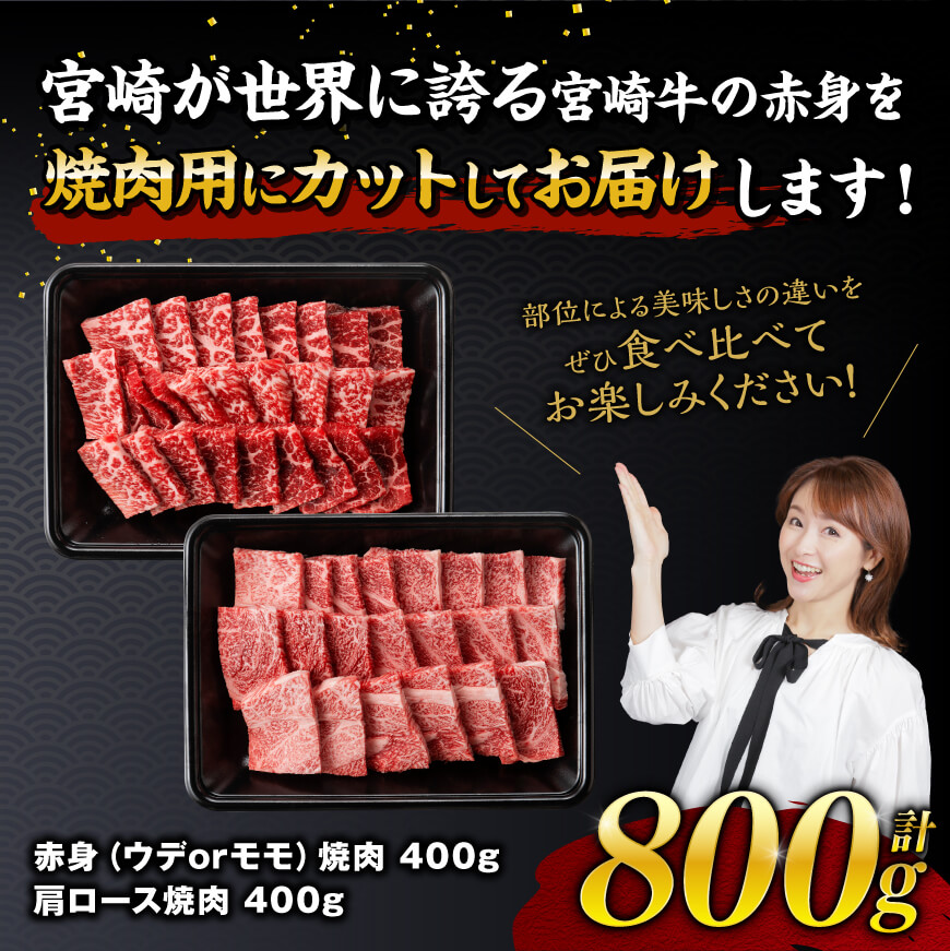 【令和8年1月発送】宮崎牛赤身霜降り焼肉2種 800g 【 肉 牛肉 国産 宮崎県産 宮崎牛 黒毛和牛 和牛 焼肉 BBQ 4等級 A4ランク 肩ロース ウデ モモ 】[E11124r801] 【令和8年1月発送】