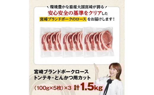 宮崎ブランドポーク ローストンテキ・とんかつ用カット 1.5kg 九州産豚ぶた肉ロースとんかつトンテキおうちごはんおうち時間 [E11303]