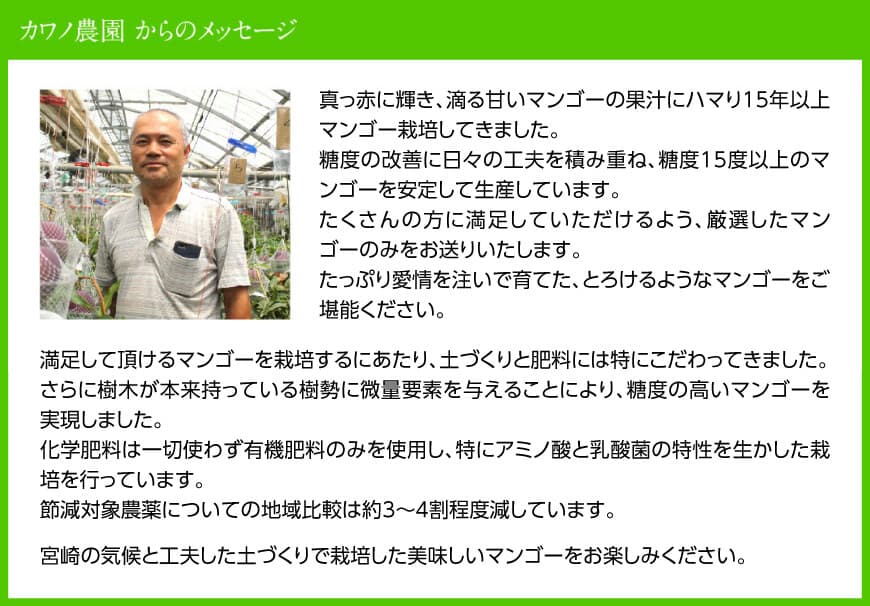 【先行予約】【令和8年発送】宮崎県産完熟マンゴー「果実の宝石」　4L×2玉 【 果物 フルーツ マンゴー 宮崎県産 みやざきマンゴー 先行予約 数量限定 期間限定 】[C03706]
