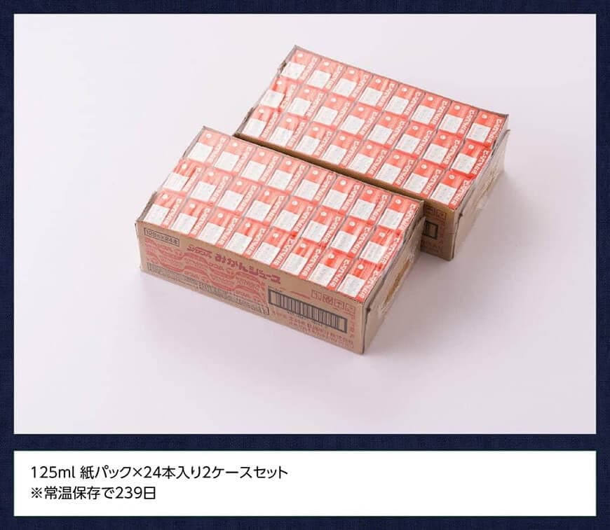 サンAみかんジュース100% 125ml紙パック×24本×2ケース 【 ふるさと納税 飲料 オレンジ ジュース みかん ミカン 温州みかん 紙パック 川南町 国内産 九州 宮崎県 送料無料 】 [C03026]