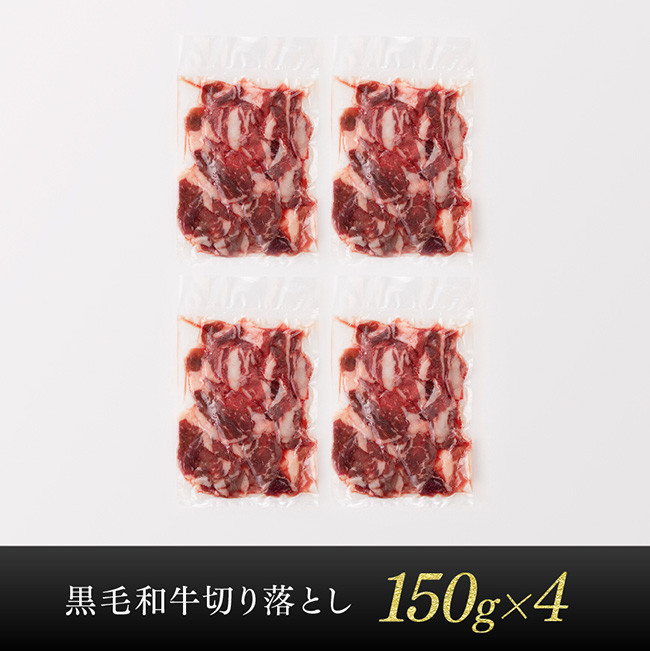 宮崎県産黒毛和牛 切り落とし 600g 【 肉 牛肉 黒毛和牛 精肉 】 [G0511]