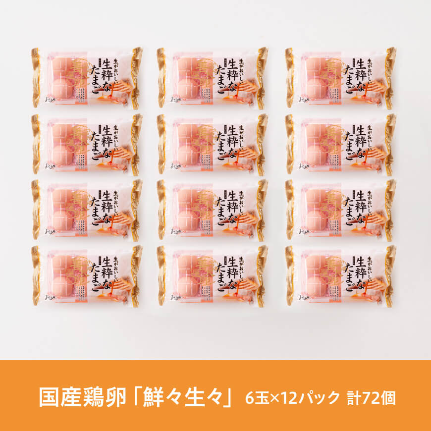 鮮々生々セット【卵 たまご 新鮮 生卵 タマゴ おうち時間】[H1403]