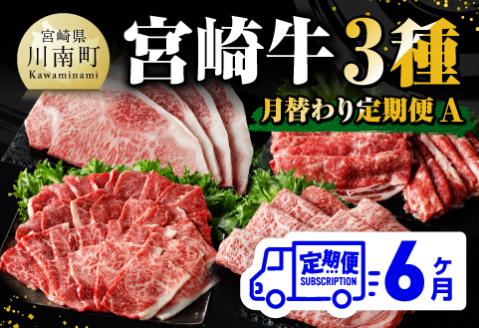 【 6ヶ月定期便 】 宮崎牛 3種 月替わり 定期便A 全6回　牛肉 A4～A5等級 宮崎牛 [E11012t6]