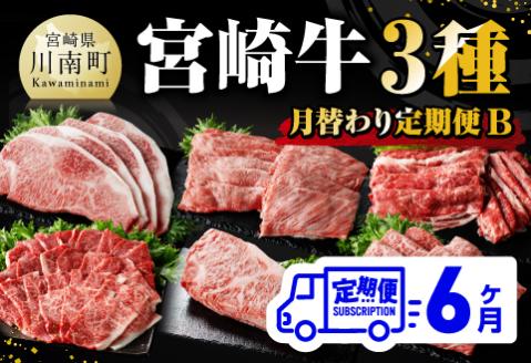【 6ヶ月定期便 】 宮崎牛 3種 月替わり 定期便B 全6回　牛肉 A4～A5等級 宮崎牛 [E11013t6]