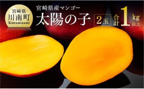 【令和8年発送】宮崎マンゴー 太陽の子２玉（1kg以上） 【 果物 くだもの フルーツ 宮崎マンゴー 】 [C06701]