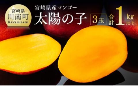 【令和8年発送】宮崎マンゴー 太陽の子３玉（1kg以上） 【 果物 くだもの フルーツ 宮崎マンゴー 】 [C06702]