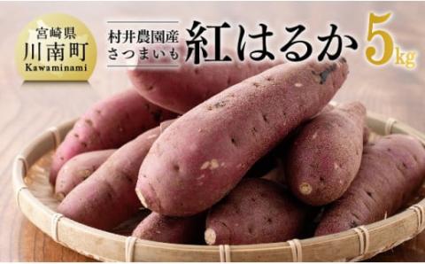 宮崎県産さつまいも　紅はるか5kg 【 宮崎県産 九州産 いも 芋 サツマイモ 野菜 】[C10005]