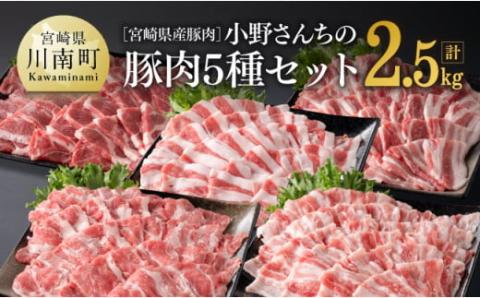 宮崎県産豚肉 小野さんちの"豚肉５種セット” 2.5kg 【 豚肉 豚 肉 宮崎県産 しゃぶしゃぶ 焼肉 セット 和洋中 】［E10506］