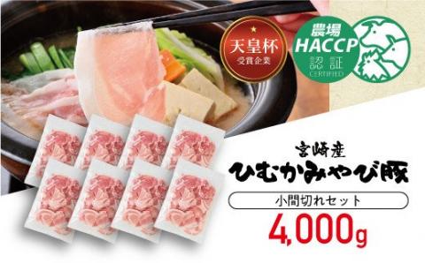 香川畜産の豚肉小間切れセット　4,000g 【 肉 豚肉 精肉 豚コマ 】[H6206]