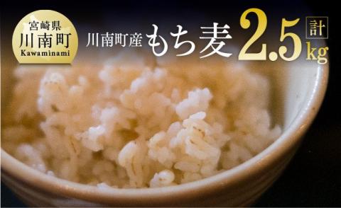令和7年産 もち麦 2.5kg（500g×5袋） 【 ふるさと納税 国産 麦 もち麦 食物繊維 数量限定 宮崎県産 川南町産 送料無料 】 [C05401]