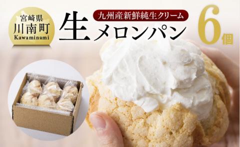 『押川春月堂本店』生メロンパン6個【スイーツ おやつ パン 大人気 生クリーム 川南町】[H2706]