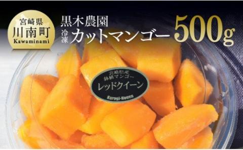 宮崎県産マンゴー　黒木農園の冷凍カットマンゴー（種なし）500g 【 レッドクイーン マンゴー 果物 フルーツ スイーツ 】 [C03202]