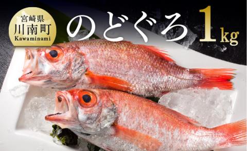 川谷水産厳選！ のどぐろ(アカムツ) 約1kg　高級魚のどぐろ鮮魚新鮮のどぐろさかな海の幸新鮮魚介送料無料魚介 [D04407]