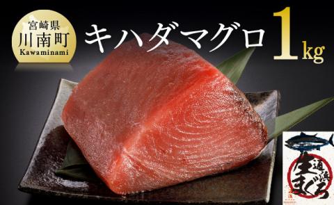 漁協直送！キハダマグロブロック（生）1kg 【 鮪 まぐろ 刺身 マグロ 漬け 新鮮 冷蔵 海の幸 魚介 送料無料 】 [H170801]