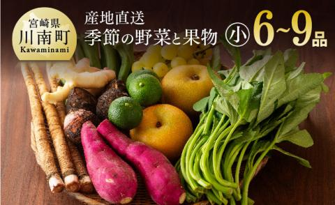 産直　おすず村　厳選詰め合わせセット（小） 【 旬野菜 フルーツ 直売所 産地直送 宮崎県産 】[G3801]