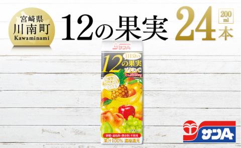 サンA１日分の12の果実24本セット 【 果汁飲料 果汁100% ジュース 砂糖不使用 保存料不使用 紙パック 】[F3024]
