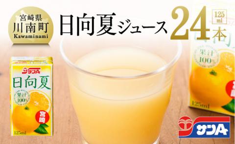 『サンA日向夏ジュース100%』125ml×24本セット【ジュース 果汁100％ フルーツジュース 紙パック 日向夏 宮崎県】[F3021]