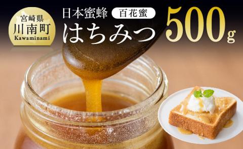 【数量限定】国産はちみつ（百花蜜）500g【蜂蜜 国産 九州産 宮崎県産 川南町産】[H5702]