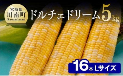 【先行予約】【令和8年発送】宮崎県産とうもろこし　朝どれ！守部さんちのドルチェドリーム (L)5kg 【 とうもろこし スイートコーン トウモロコシ スィートコーン 令和8年発送 野菜 】[C06405]