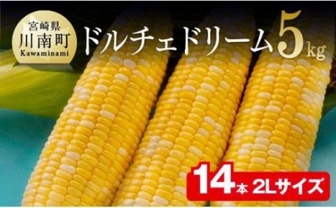 【先行予約】【令和8年発送】宮崎県産とうもろこし　朝どれ！守部さんちのドルチェドリーム (2L)5kg 【 とうもろこし スイートコーン 野菜 】[C06406]
