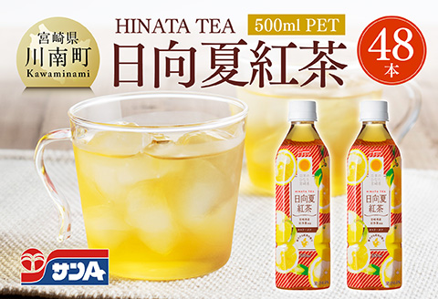 サンA 日向夏 紅茶 HINATA TEA 500mlＰＥＴ 24本 入り×2ケース 【飲料 日向夏 紅茶 PET セット ジュース 長期保存 送料無料】 [C03014]