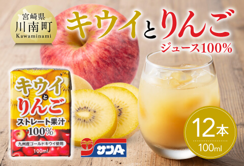 サンAキウイとりんごジュース100％　100ml紙パック×12本 【 飲料 ジュース キウイ りんご リンゴ 九州産 紙パック 送料無料 】 [C03017]
