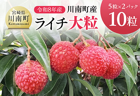 【令和8年産】川南町産ライチ（大粒）10粒(5粒×2パック) 【 国産ライチ フルーツ デザート 宮崎県産 】 [C03203]