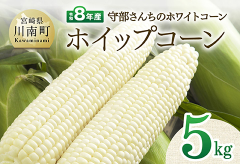 【先行予約】【令和8年発送】宮崎県産とうもろこし　守部さんちのホワイトコーン「ホイップコーン」5kg 【 とうもろこし ホワイトコーン トウモロコシ ホイップコーン 令和8年発送 先行予約 数量限定 期間限定 】 [C06412]