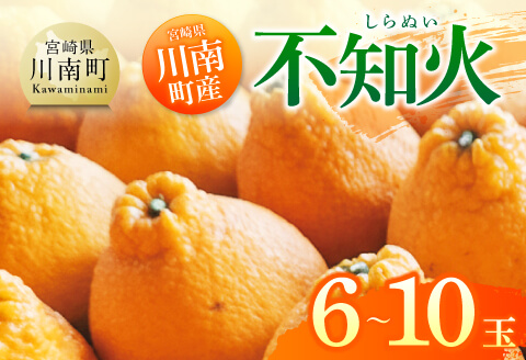 宮崎県川南町産「不知火（しらぬい）」６～１０玉 【 果物 くだもの フルーツ しらぬい 不知火 デコポン みかん 】 [C06705]