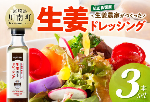 脇田農園産　生姜農家が作った生姜ドレッシング3本セット 【 生姜 ショウガ 国産 宮崎県産 九州産 川南町産 農家直送 しょうが ドレッシング 】 [C07001]