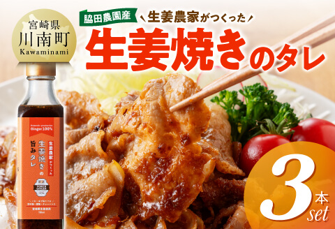 脇田農園産　生姜農家が作った生姜焼きのタレ3本セット 【 生姜 ショウガ 国産 宮崎県産 九州産 川南町産 農家直送 しょうが 生姜焼きのたれ 】 [C07002]