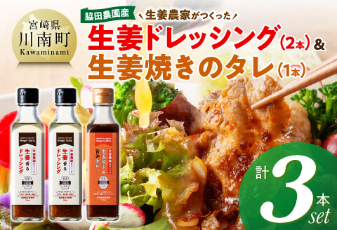 脇田農園産　生姜農家が作った生姜ドレッシング2本＆生姜焼きのタレ1本　計3本セット 【 生姜 ショウガ 国産 宮崎県産 九州産 川南町産 農家直送 しょうが 生姜焼きのたれ ドレッシング 】 [C07003]