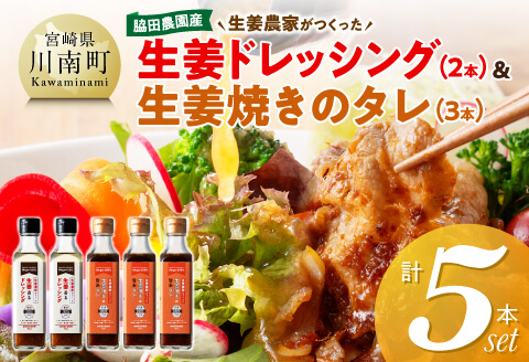 脇田農園産　生姜農家が作った生姜ドレッシング2本＆生姜焼きのタレ3本　計5本セット 【 生姜 ショウガ 国産 宮崎県産 九州産 川南町産 農家直送 しょうが 生姜焼きのたれ ドレッシング 】 [C07006]