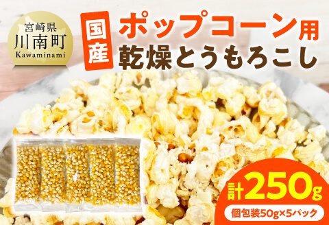 国産ポップコーン用（乾燥とうもろこし）　250g（個包装50g×5パック） 【 数量限定 期間限定 宮崎県産 ポップコーン 】[C07108]
